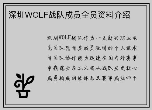 深圳WOLF战队成员全员资料介绍